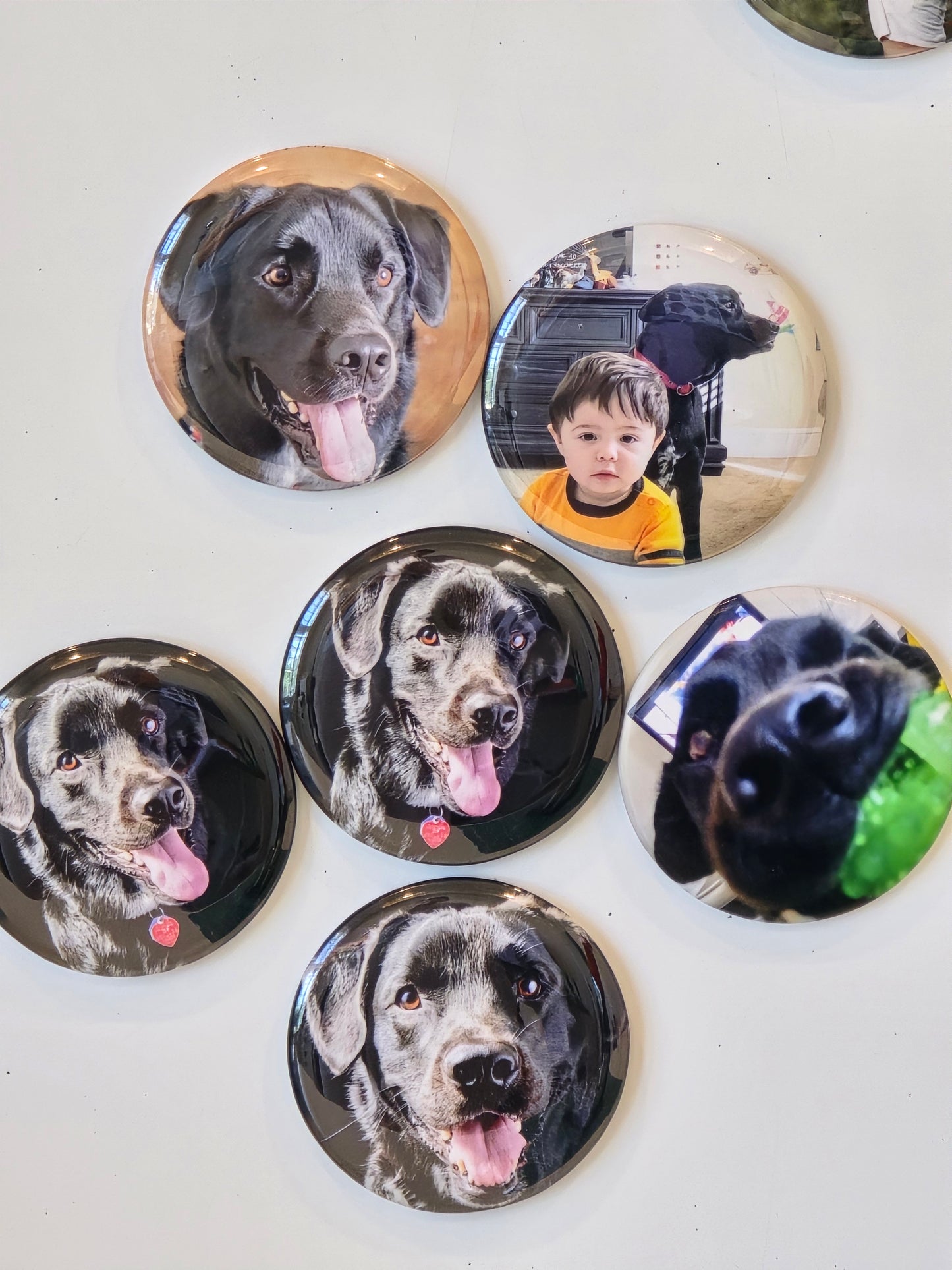 Pet Memorial Magic Tap Magnet Set — 6 Custom Round Photo Magnets + Hidden Memory Reveal