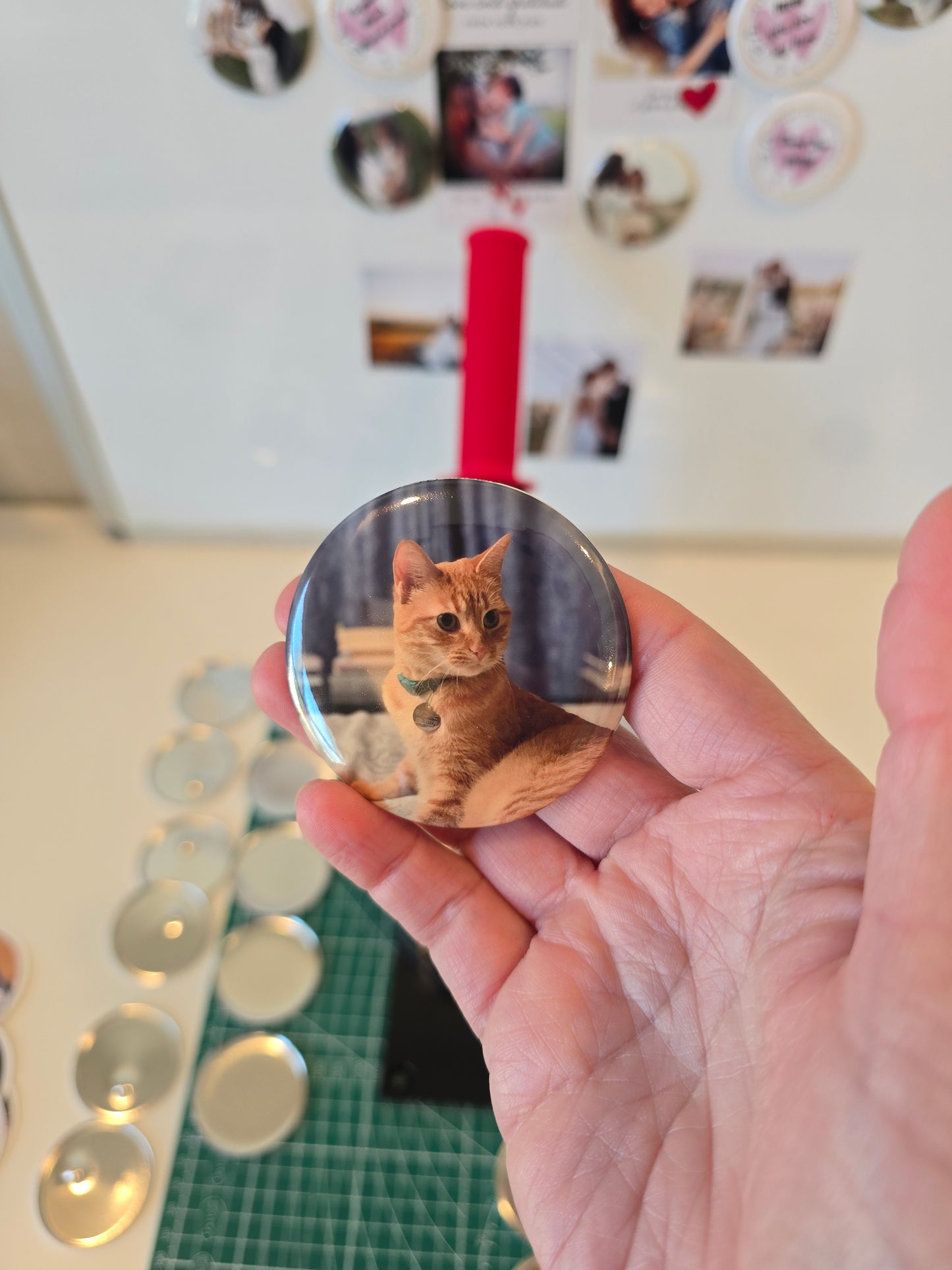 Pet Memorial Magic Tap Magnet Set — 6 Custom Round Photo Magnets + Hidden Memory Reveal