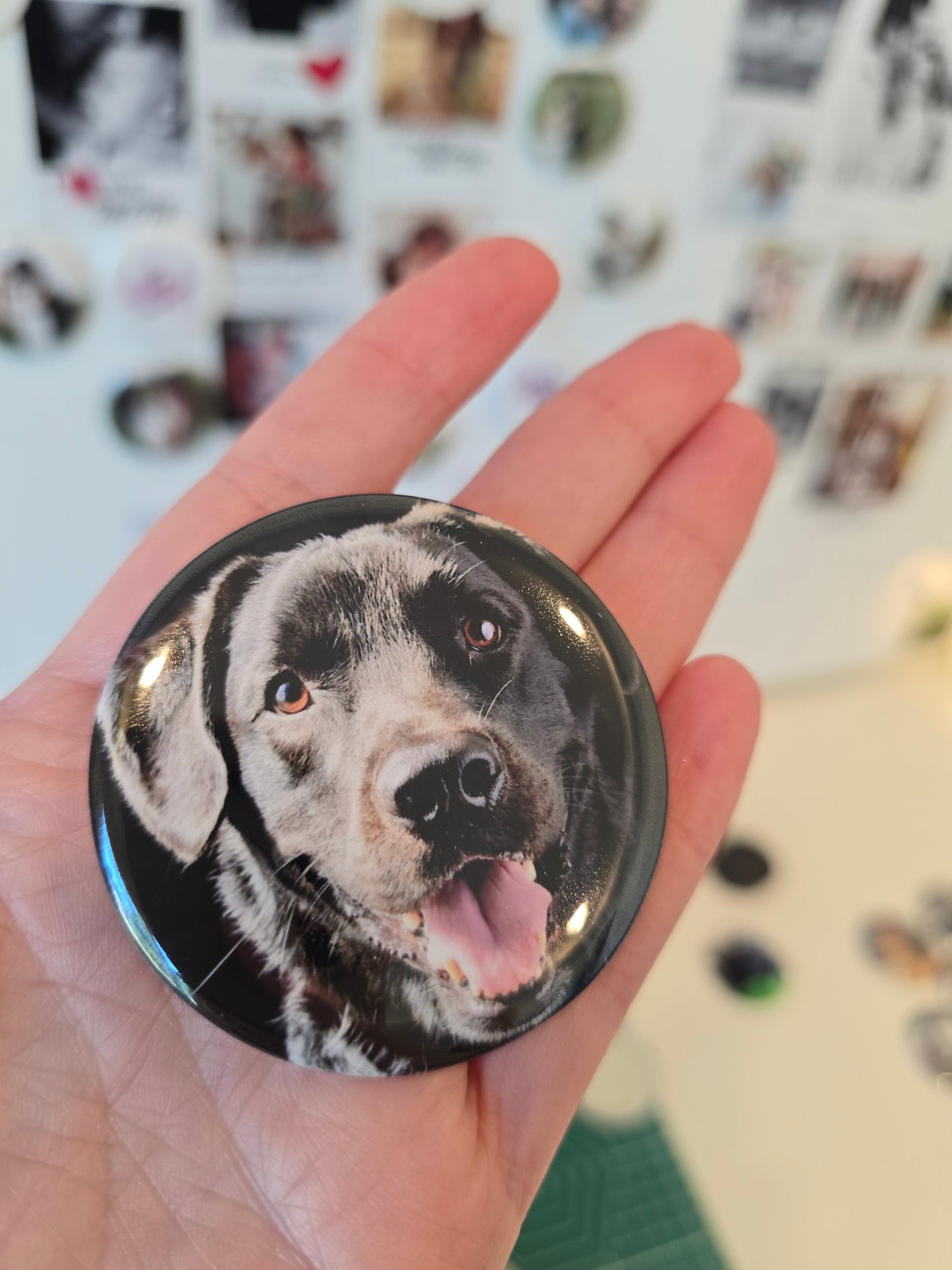Pet Memorial Magic Tap Magnet Set — 6 Custom Round Photo Magnets + Hidden Memory Reveal