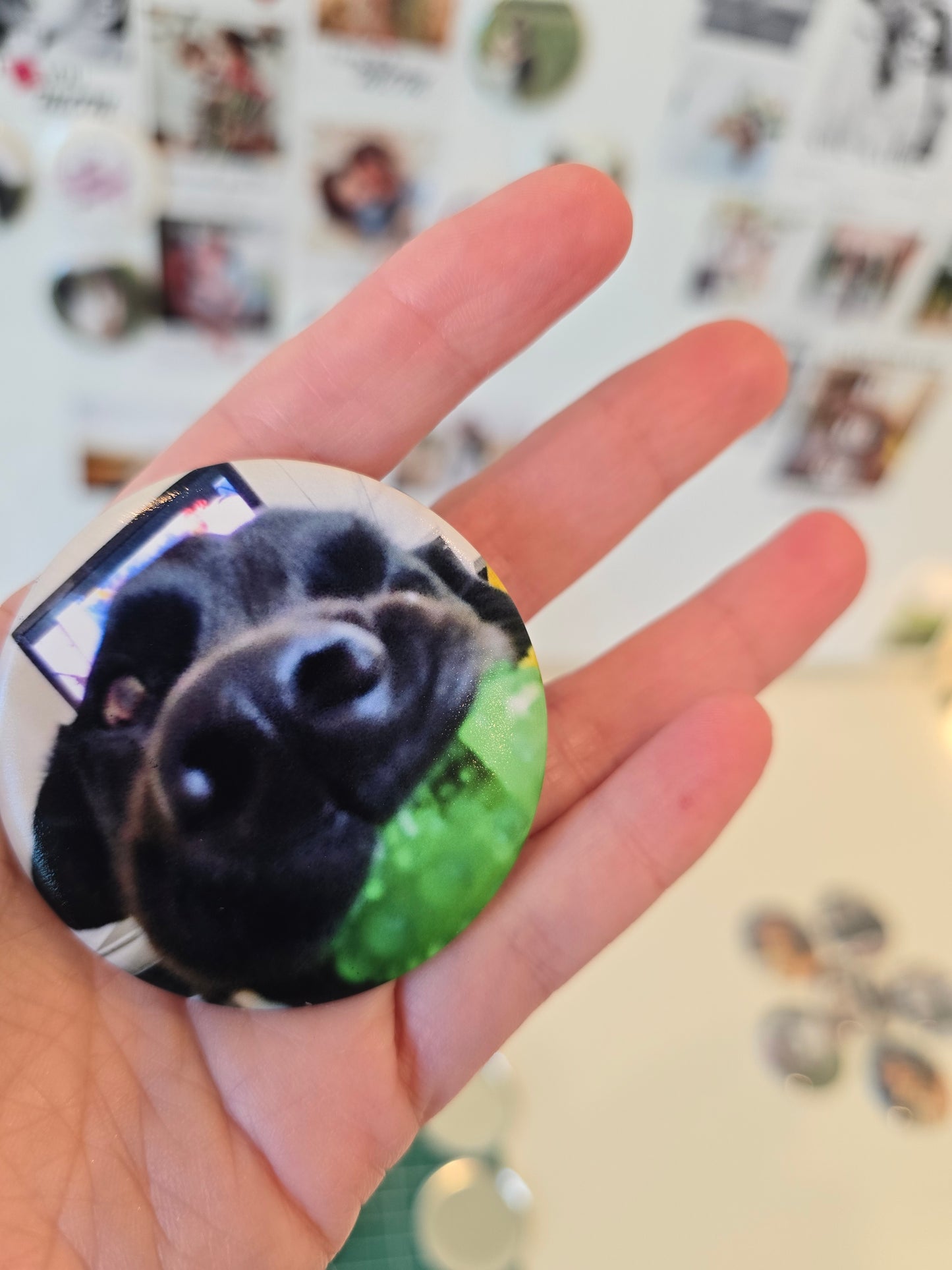 Pet Memorial Magic Tap Magnet Set — 6 Custom Round Photo Magnets + Hidden Memory Reveal